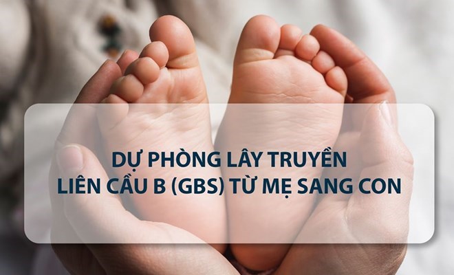 Xét nghiệm liên cầu khuẩn nhóm B (GBS) cho bà bầu để làm gì?