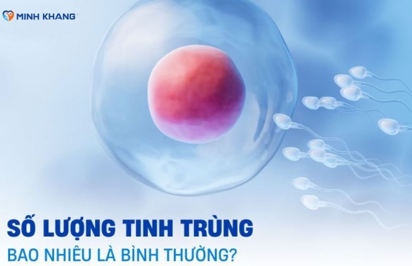 Số lượng tinh trùng bao nhiêu là bình thường? Thông tin cần biết