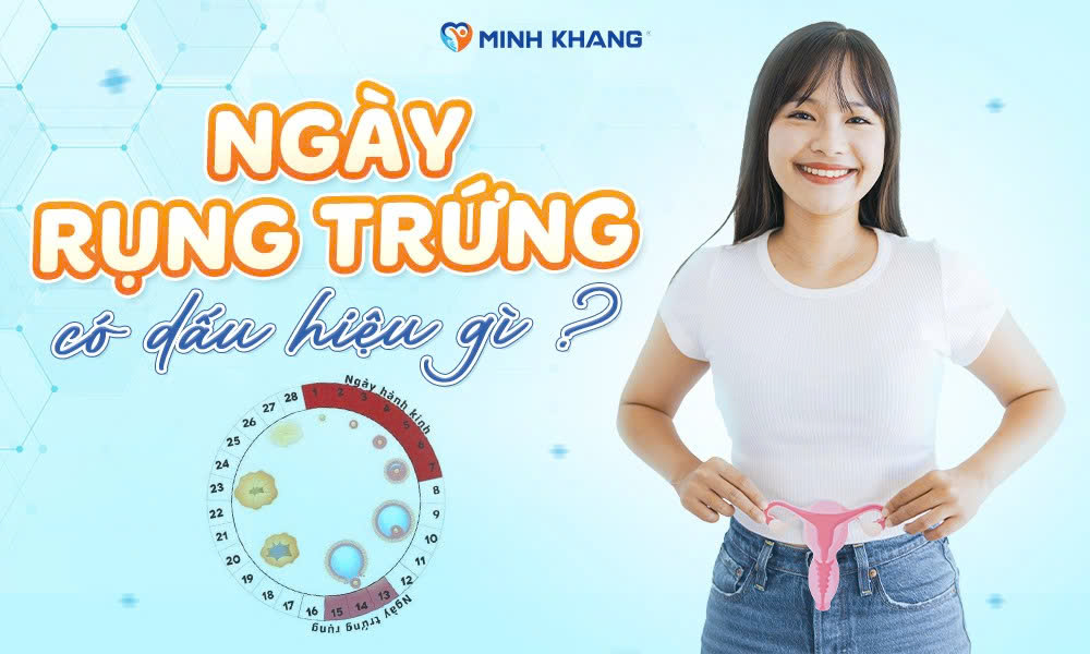 Ngày rụng trứng là gì? 5 các dấu hiệu điển hình cần lưu ý