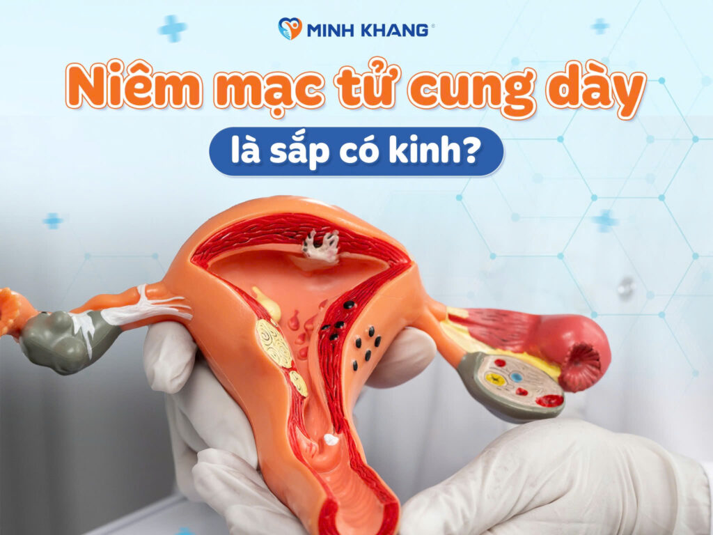 Niêm mạc tử cung dày là sắp có kinh?